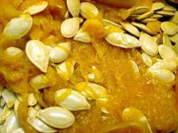 Pumpkin Pulp